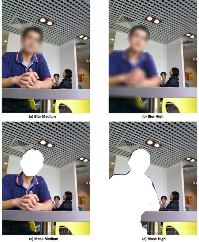 PrivacyPrimer example of blurring and masking <a href="#section4">[4]</a>.