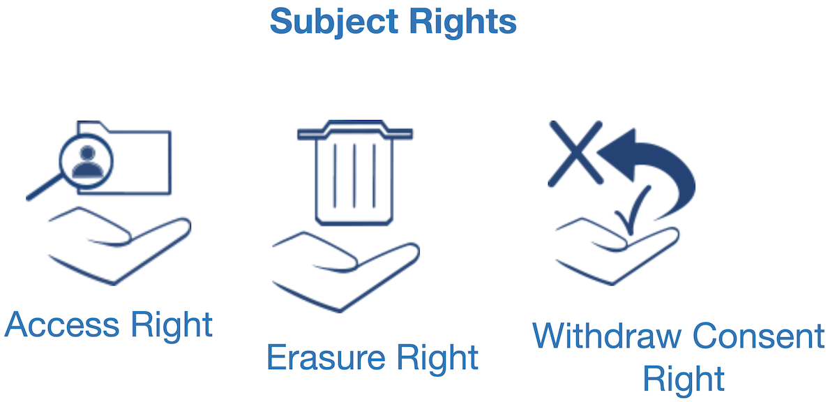 Some of the DaPIS icons for subject rights <a href="#section2">[2]</a>.