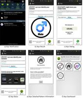 Screenshots of the proof-of-concept version of Styx <a href="#section2">[2]</a>.