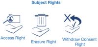 Some of the DaPIS icons for subject rights <a href="#section2">[2]</a>.